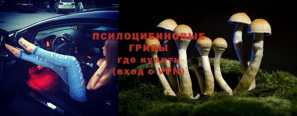 mix Армянск