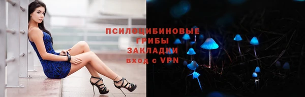 СК Арсеньев
