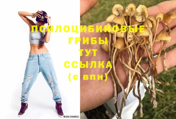 ECSTASY Аркадак