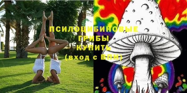 СК Арсеньев